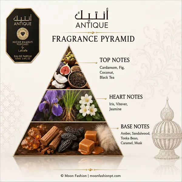 Antique fragrance pyramid showing cardamom, fig, coconut, black tea, iris, vetiver and base notes.