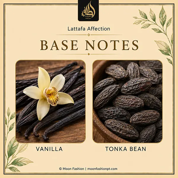 Base-note graphic for Affection showing vanilla pods and tonka beans.