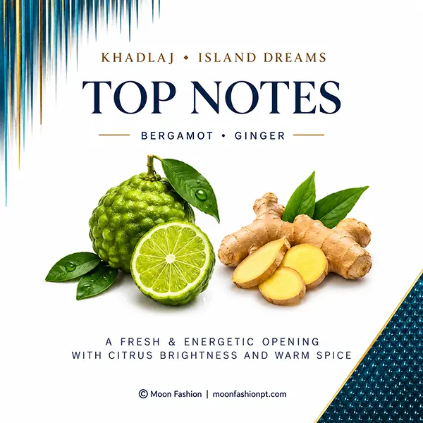 Island Dreams top notes graphic featuring bergamot and ginger on a clean white branded layout.