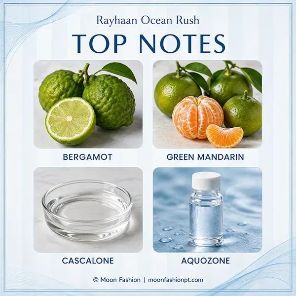 Top-note chart for Rayhaan Ocean Rush showing bergamot, green mandarin, Cascalone and Aquozone