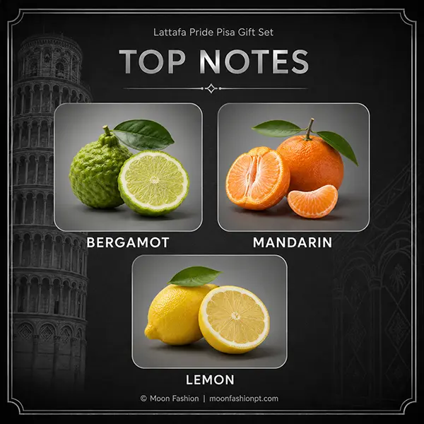 Pisa top notes graphic showing bergamot, mandarin and lemon
