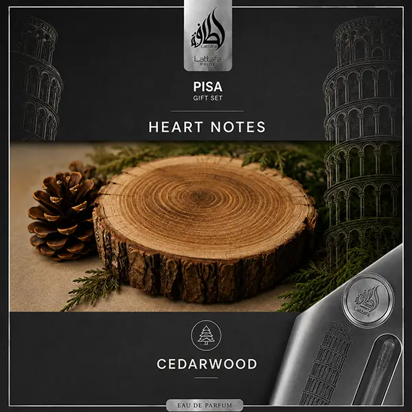 Pisa heart note graphic showing a cedarwood log section with the Cedarwood label