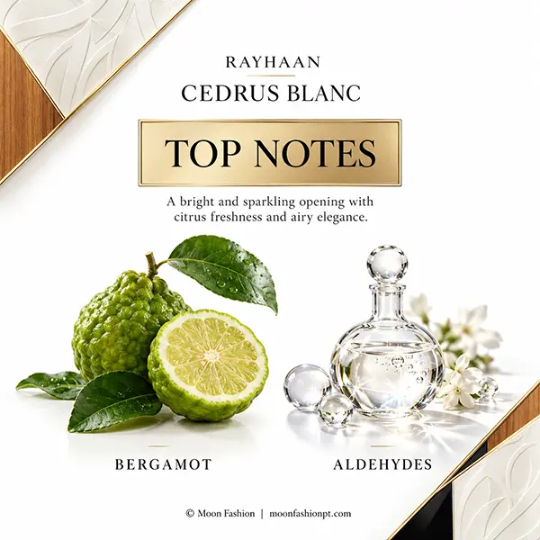 Bergamot fruit and glass bubbles illustrating the top notes of Cedrus Blanc: bergamot and aldehydes