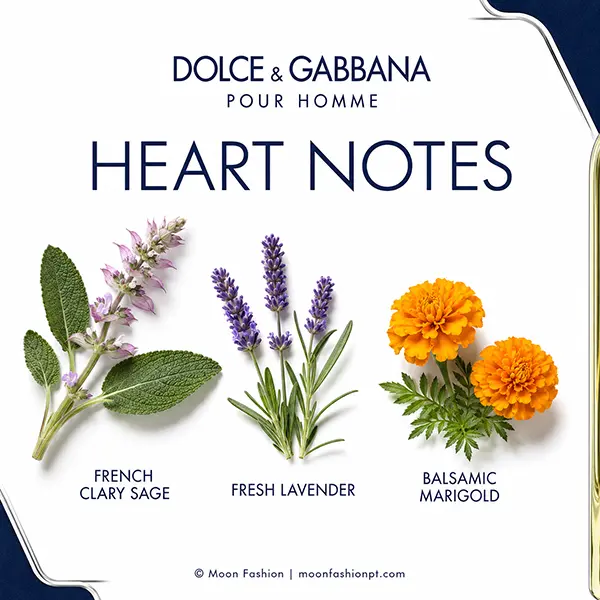Heart-notes graphic for Dolce&Gabbana Pour Homme with clary sage, lavender and marigold.