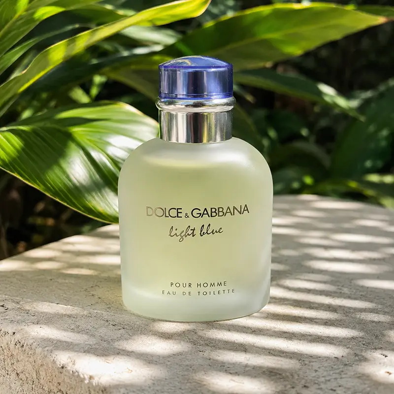 Sunlit tropical greenery frames the Dolce&Gabbana Light Blue Pour Homme bottle on pale stone.