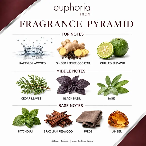 Euphoria Men pyramid with raindrop, ginger pepper, sudachi, cedar, basil, sage, patchouli, redwood, suede and amber.
