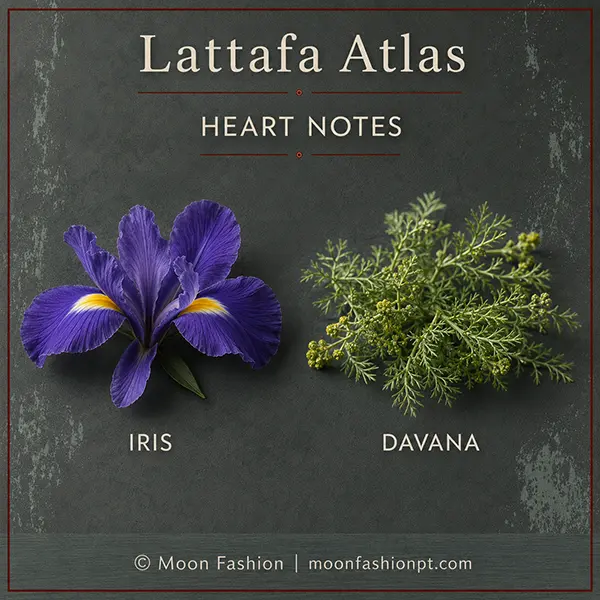 Purple iris flower and green davana displayed as the heart notes of Lattafa Atlas