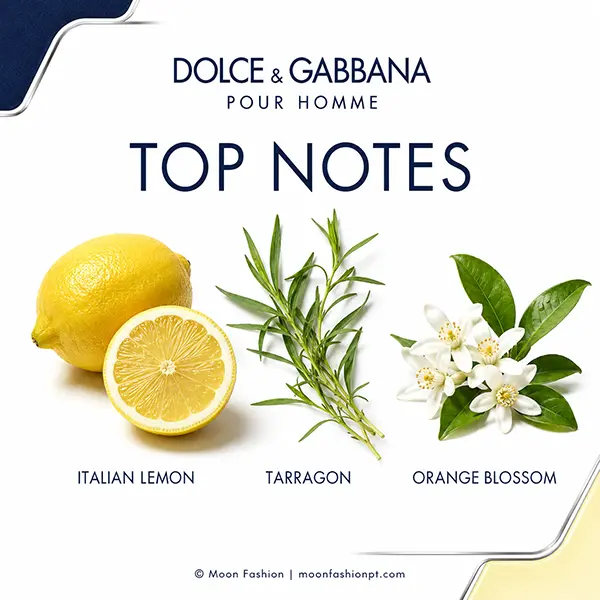 Top-notes graphic showing Italian lemon, tarragon and orange blossom for Dolce&Gabbana Pour Homme.