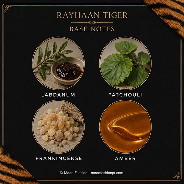 Labdanum, patchouli, frankincense and amber shown in the Rayhaan Tiger base-notes graphic.