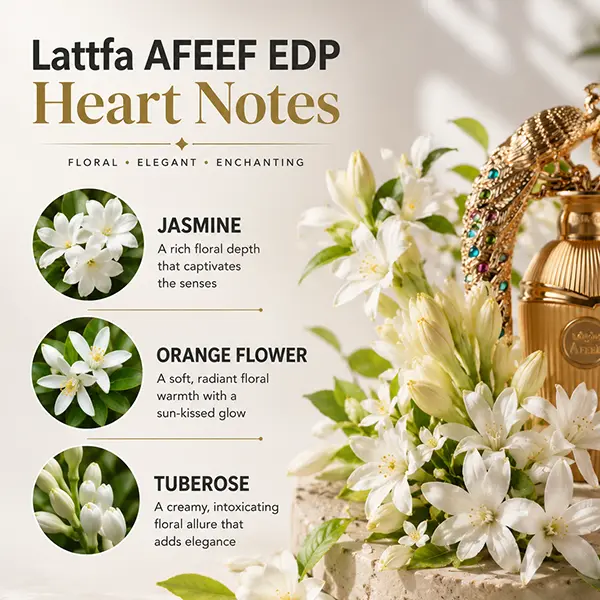 Heart notes composition for Lattafa Afeef featuring jasmine, orange flower, and tuberose.