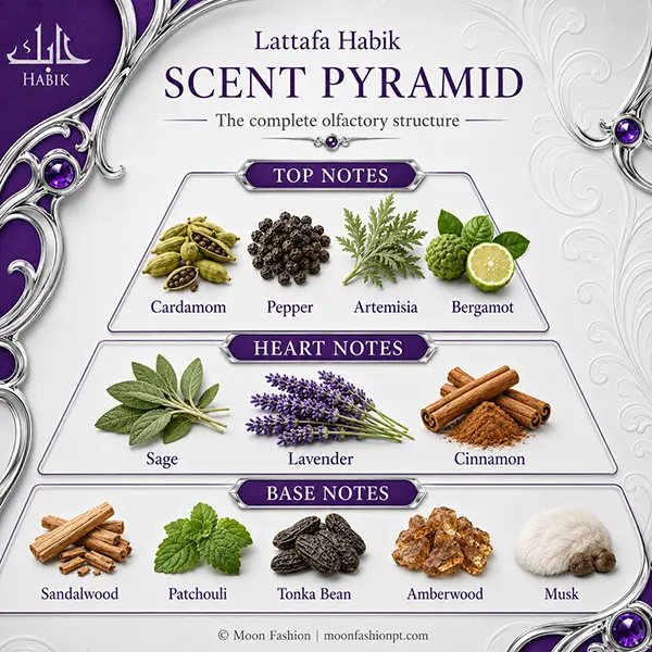 Habik scent pyramid showing top, heart and base note tiers with all twelve note visuals.