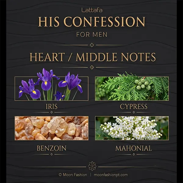 Structural graphic mapping the middle notes: iris, cypress, benzoin, and mahonial elements.
