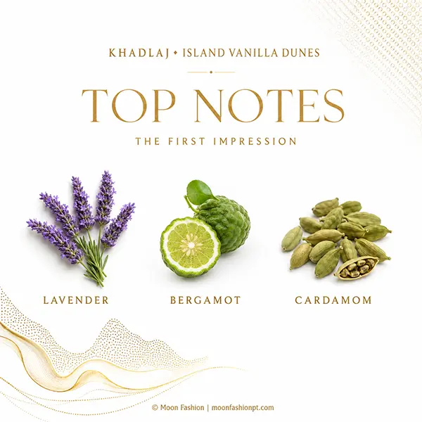 Top notes graphic with lavender, bergamot and cardamom for Khadlaj Island Vanilla Dunes.