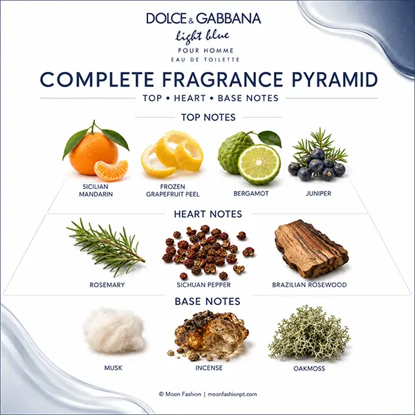 Complete Light Blue fragrance pyramid with top, heart and base-note visuals on a white branded layout.