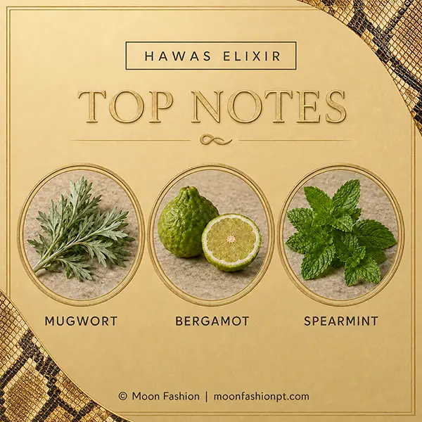 Top notes graphic for Hawas Elixir showing mugwort, bergamot and spearmint.