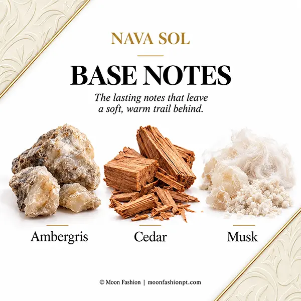 nava-sol-ambergris-cedar-musk-base-notes