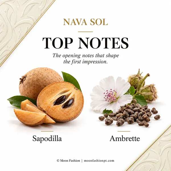 nava-sol-sapodilla-ambrette-top-notes