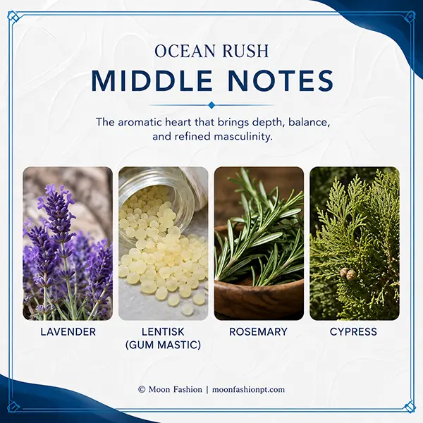 Ocean Rush middle-note chart with lavender, lentisk, rosemary and cypress illustrations