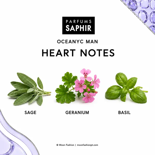Sage leaves, pink geranium flowers and basil illustrate the heart notes of Oceanyc Man.