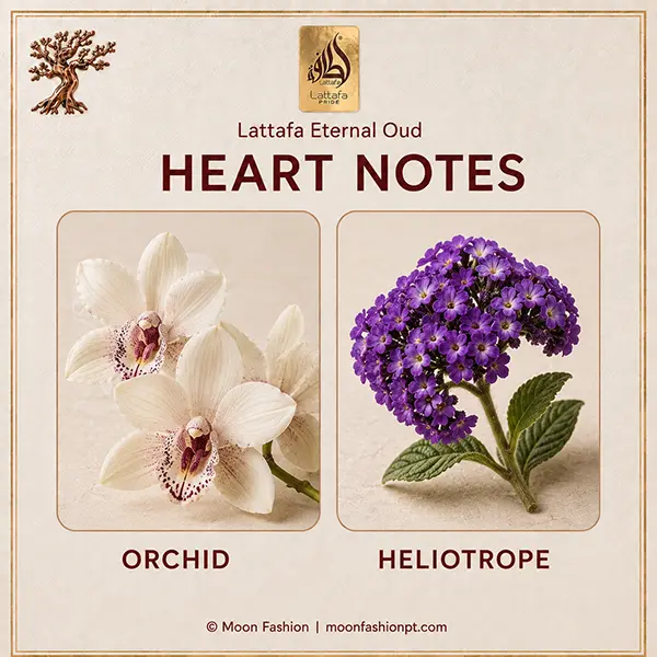 Orchid and heliotrope displayed as the heart notes of Lattafa Eternal Oud