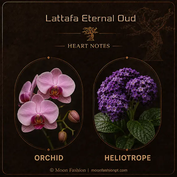 Pink orchid and purple heliotrope shown in the Eternal Oud heart-notes infographic