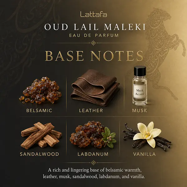 Base notes infographic; leather, musk, sandalwood, labdanum, vanilla visually shown