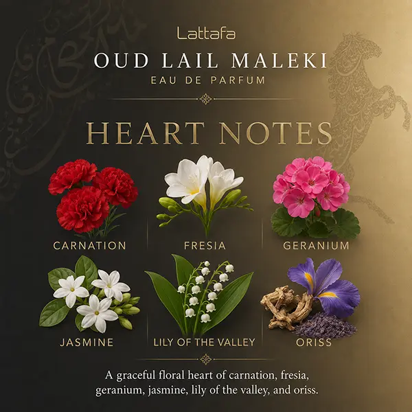 Heart notes infographic; floral note visual with jasmine, lily, oriss