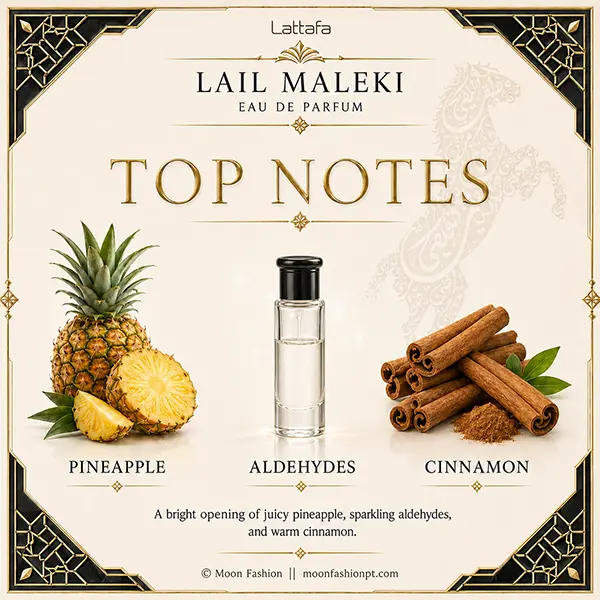 Pineapple, aldehydes and cinnamon top notes graphic for Lail Maleki