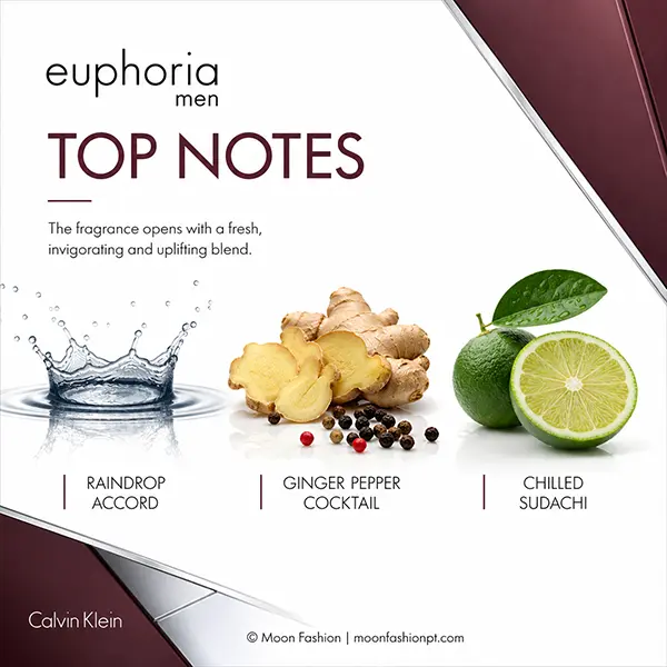 Euphoria Men top notes graphic showing raindrop accord, ginger pepper cocktail and chilled sudachi.