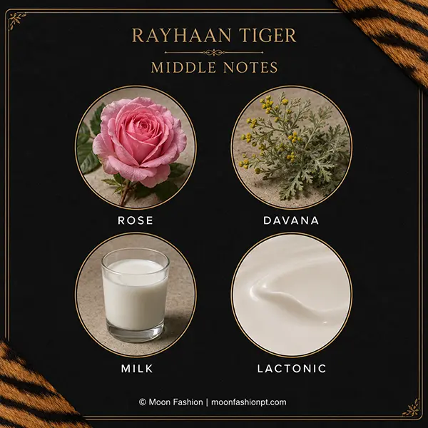 Rose, davana, milk and lactonic imagery in the Rayhaan Tiger middle-notes graphic.