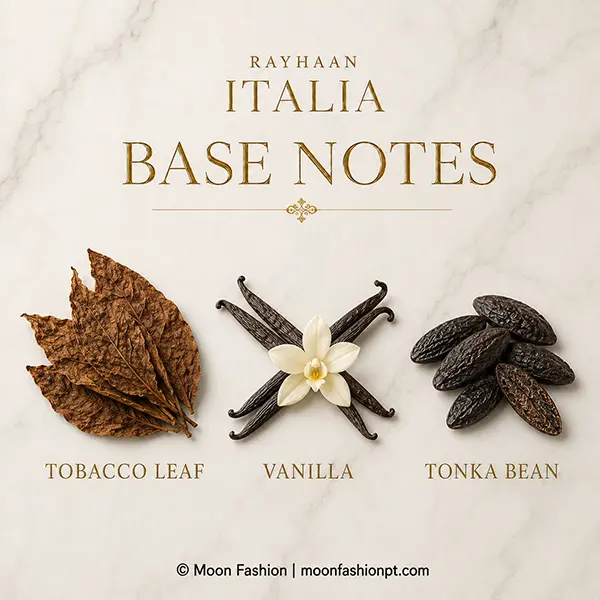 Tobacco leaf, vanilla and tonka bean shown as the base notes of Rayhaan Italia