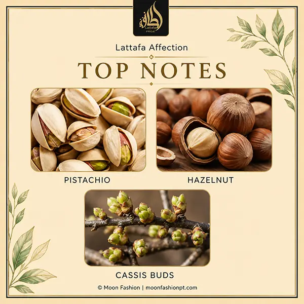 Top-note graphic for Lattafa Affection with pistachio, hazelnut and cassis buds.