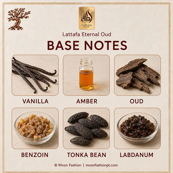 Base notes guide with vanilla, amber, oud, benzoin, tonka bean and labdanum