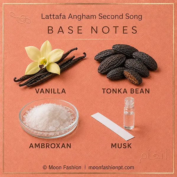 Vanilla, tonka bean, Ambroxan crystals and a musk blotter appear in the base-notes guide.
