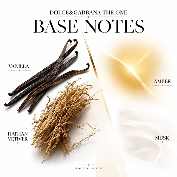 Vanilla pods, Haitian vetiver and abstract amber and musk visuals in The One base notes guide